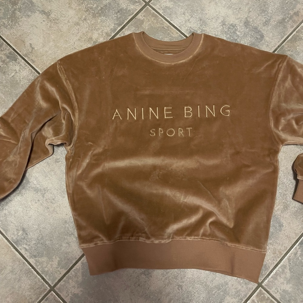 Anine Bing Evan Velour Sweatshirt